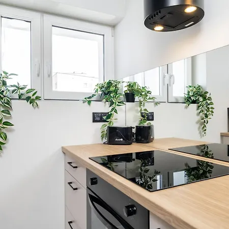 Blue Matcha Premium Okopowa * Warschau